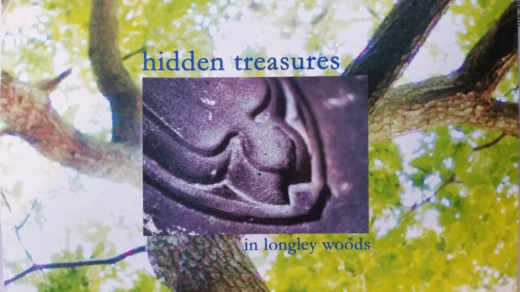Book cover with an image of a tree from below and an image of a carving with text saying "hidden treasures in longley woods".