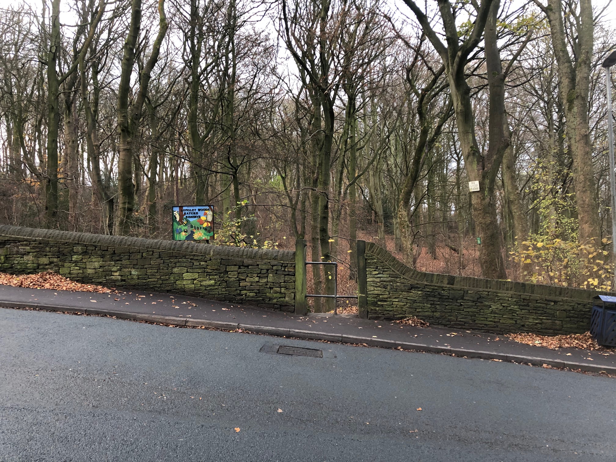 Photograph of a gate with a stile going into Longley Woods from Lowerhouses Lane.